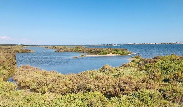 Le Nautica Plage T2 Climatise En Bord De Mer Frontignan Esterno foto