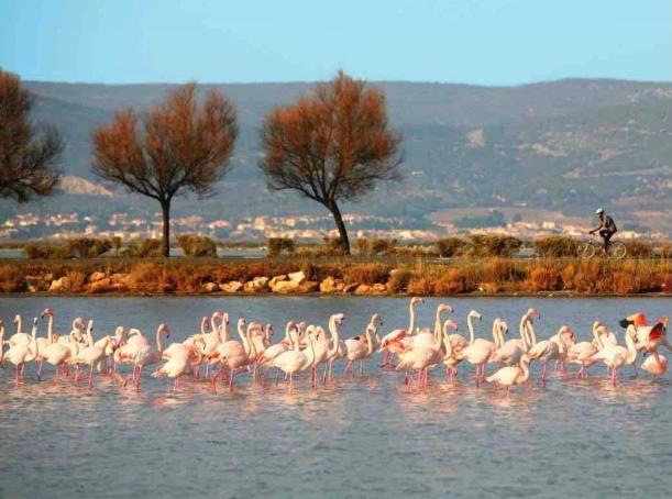 Le Nautica Plage T2 Climatise En Bord De Mer Frontignan Esterno foto